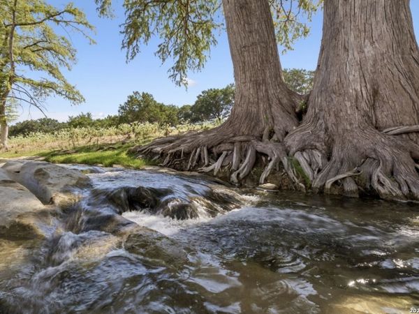 149 BLOODHOUND TRL, Sisterdale, TX 78006
