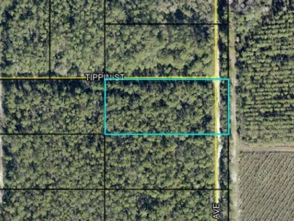 0 AMOS, Hastings, FL 32145