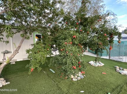 272 Lucille Drive, Walker Lake, NV 89415 Photo