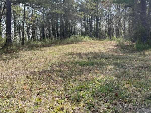 0 PARCEL#1 BECK Dr, Double Springs, AL 35553