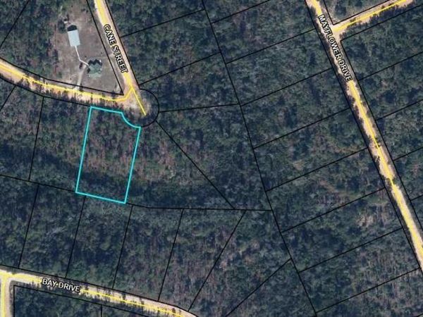 TBD PINE NEEDLE STREET, MARIANNA, FL 32448