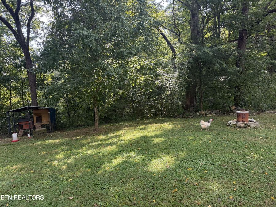 Property Image 16