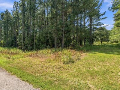 0 Lavinia Lane , Winnsboro, SC 29180