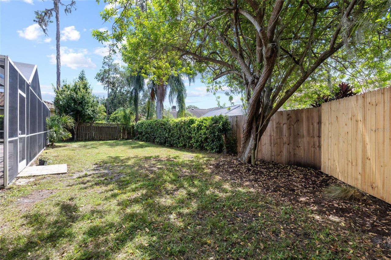 1384 Forestedge Boulevard, Oldsmar, FL 34677 Photo