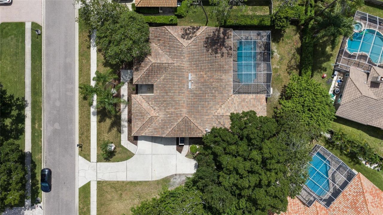 1384 Forestedge Boulevard, Oldsmar, FL 34677 Photo