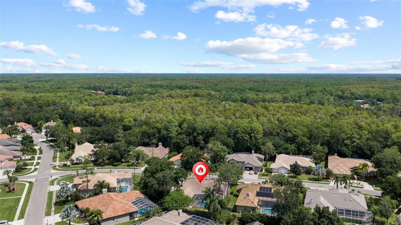 1384 Forestedge Boulevard, Oldsmar, FL 34677 Photo