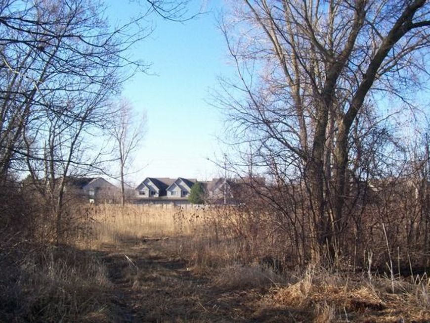Main Photo
