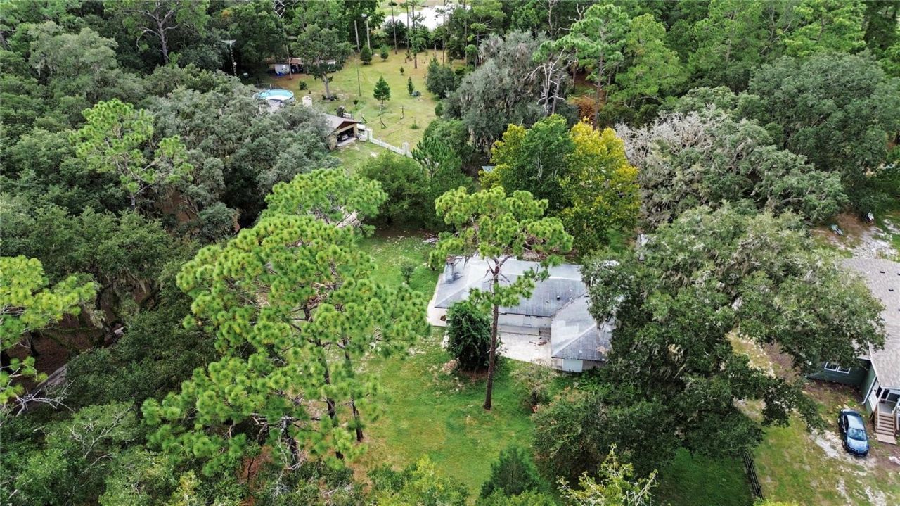 50 NE 120th Avenue, Silver Springs, FL 34488 Photo