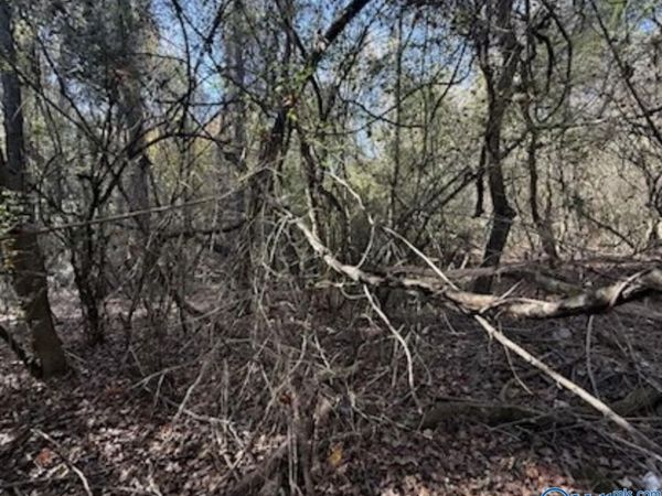 .3 acre lot Hine Street South, Athens, AL 35611