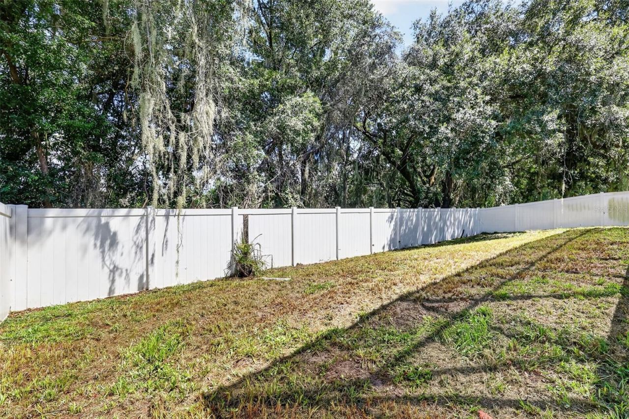 5042 Rishley Run Way, Mount Dora, FL 32757 Photo