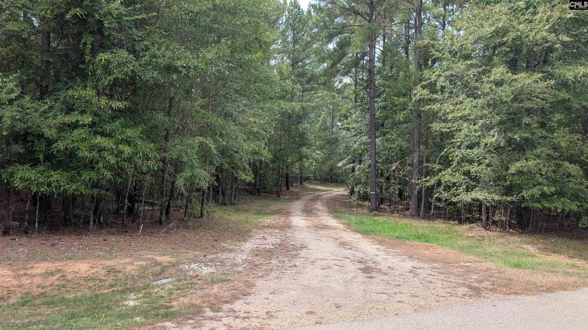19 N Dutchman Creek Road  Photo 19
