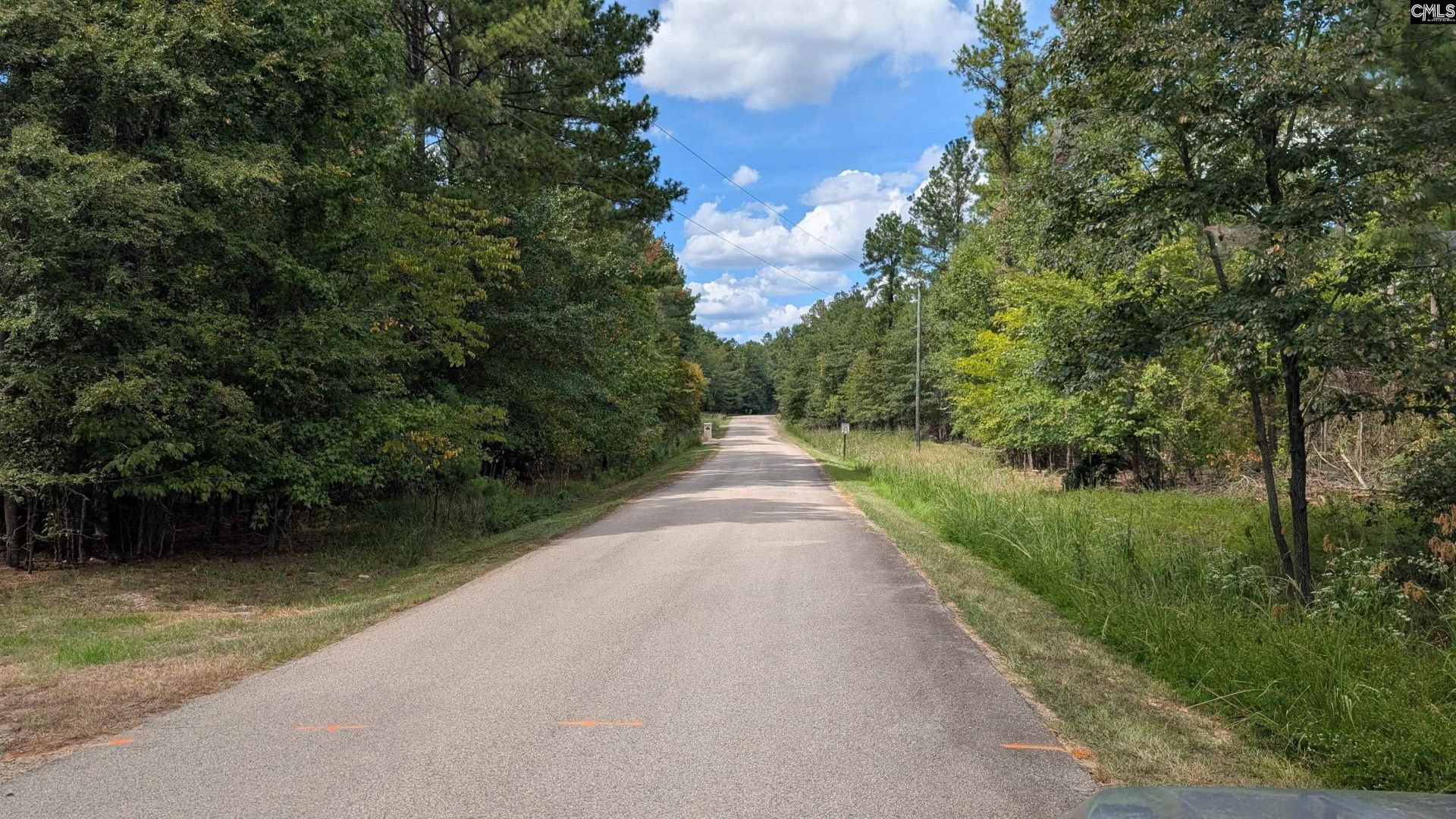 19 N Dutchman Creek Road  Photo 20