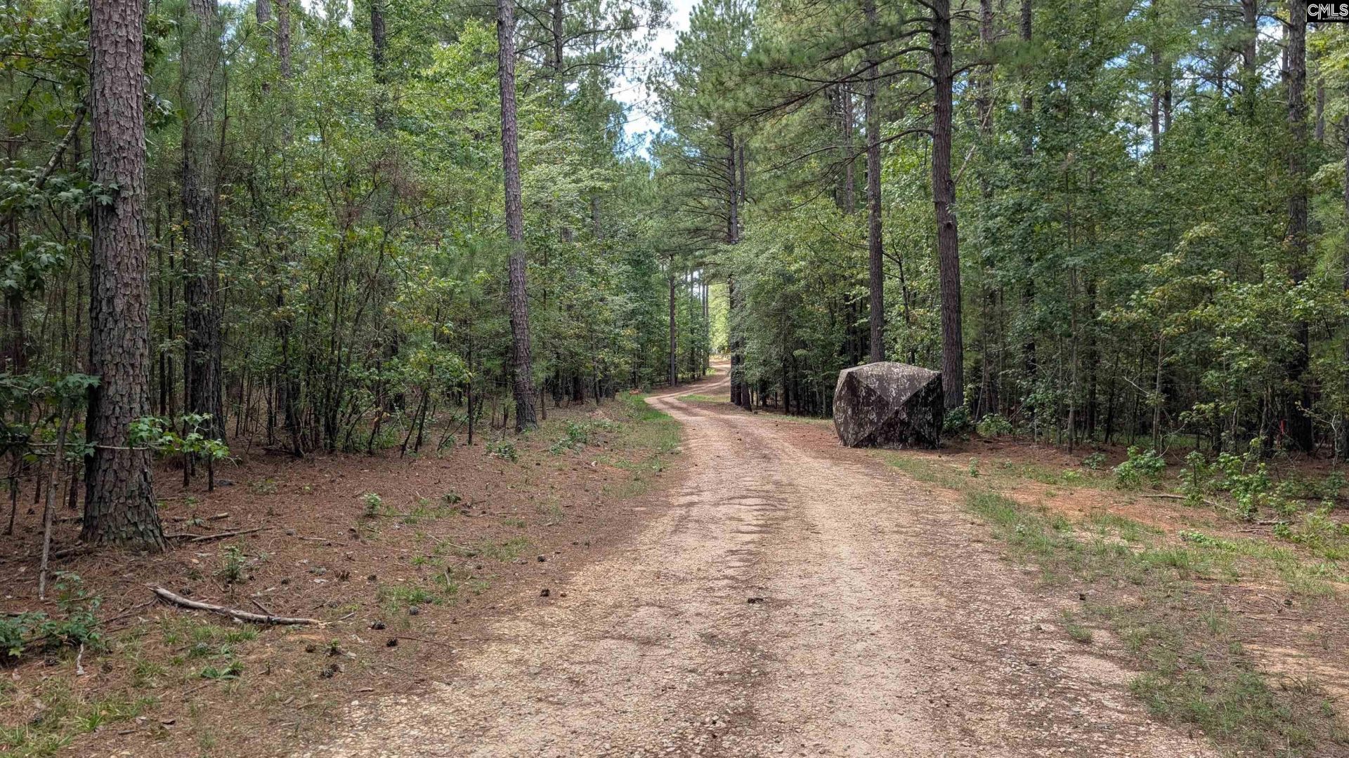 19 N Dutchman Creek Road  Photo 22