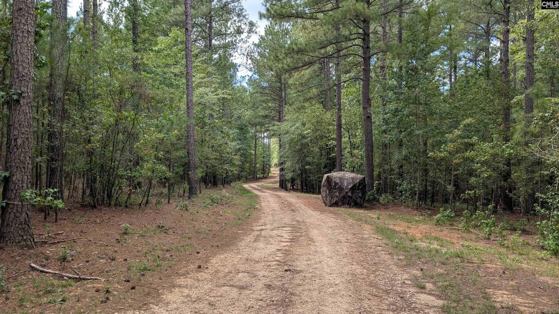 19 N Dutchman Creek Road  Photo 23