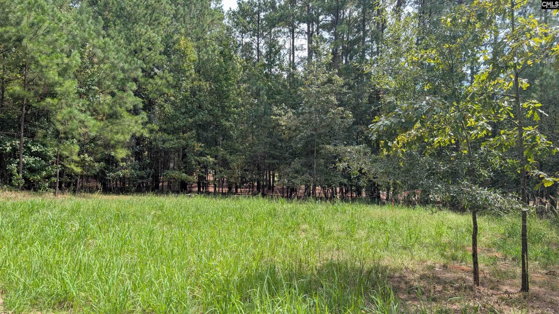 19 N Dutchman Creek Road  Photo 41