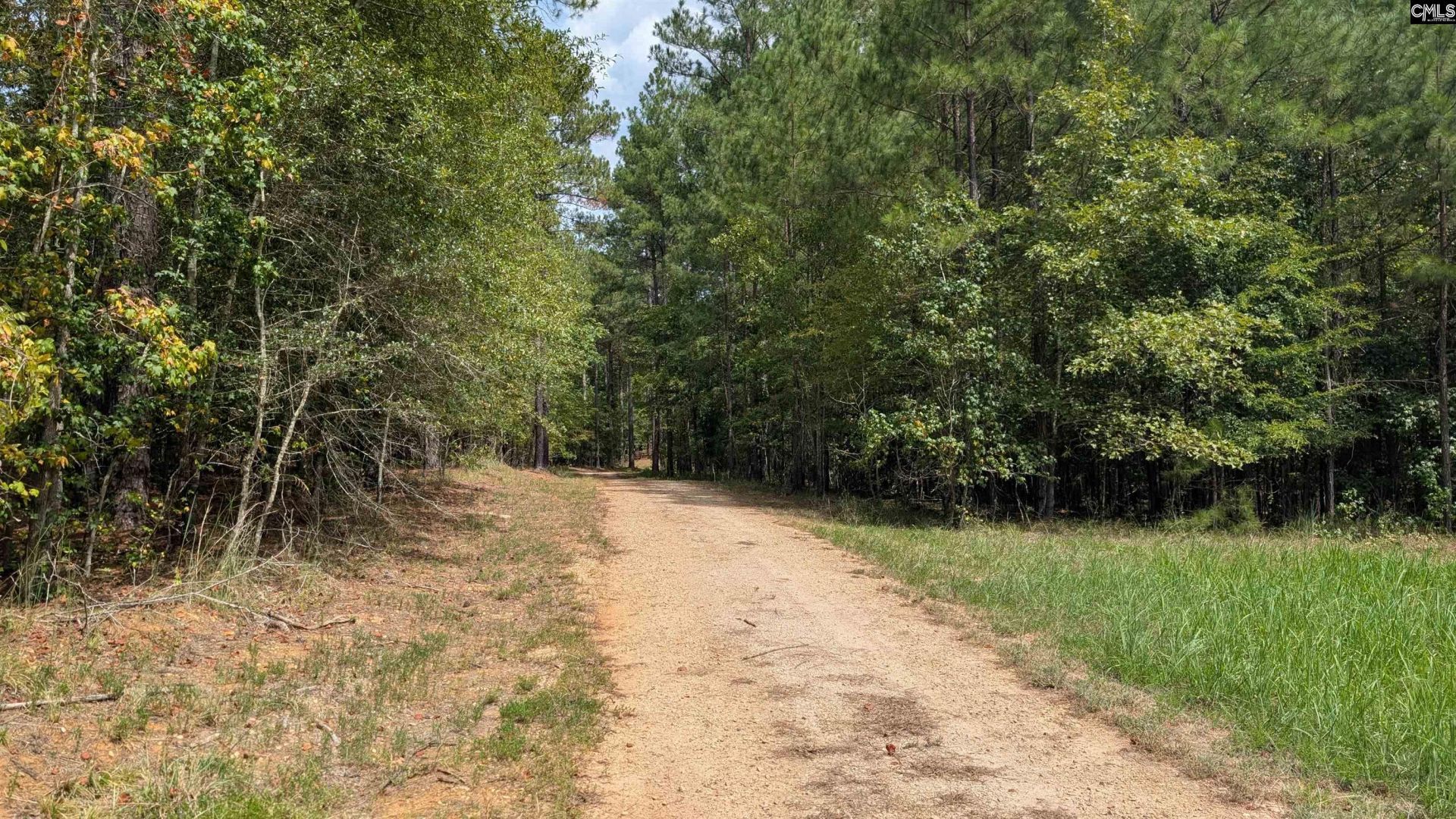 19 N Dutchman Creek Road  Photo 42