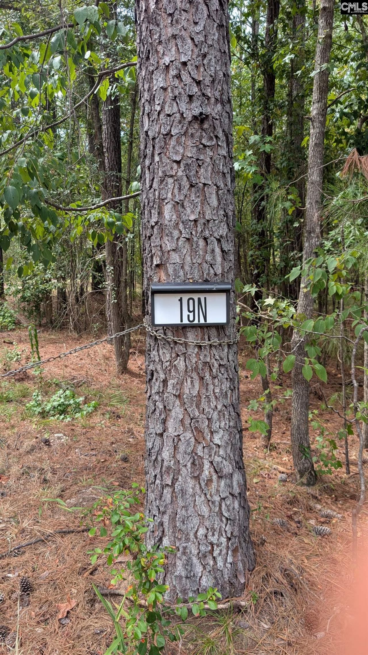 19 N Dutchman Creek Road  Photo 43