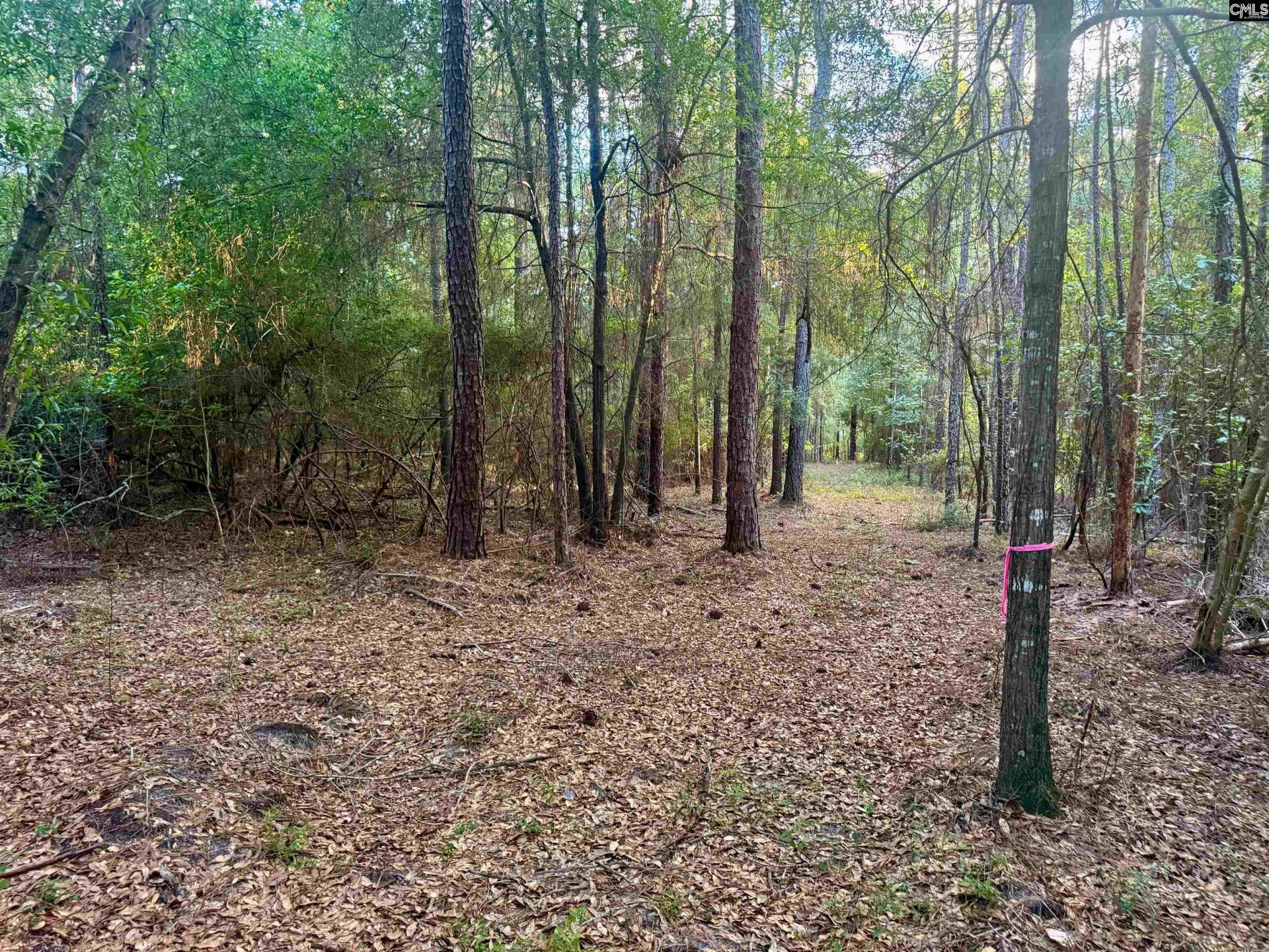 0 Edisto Lake Road  Photo 10