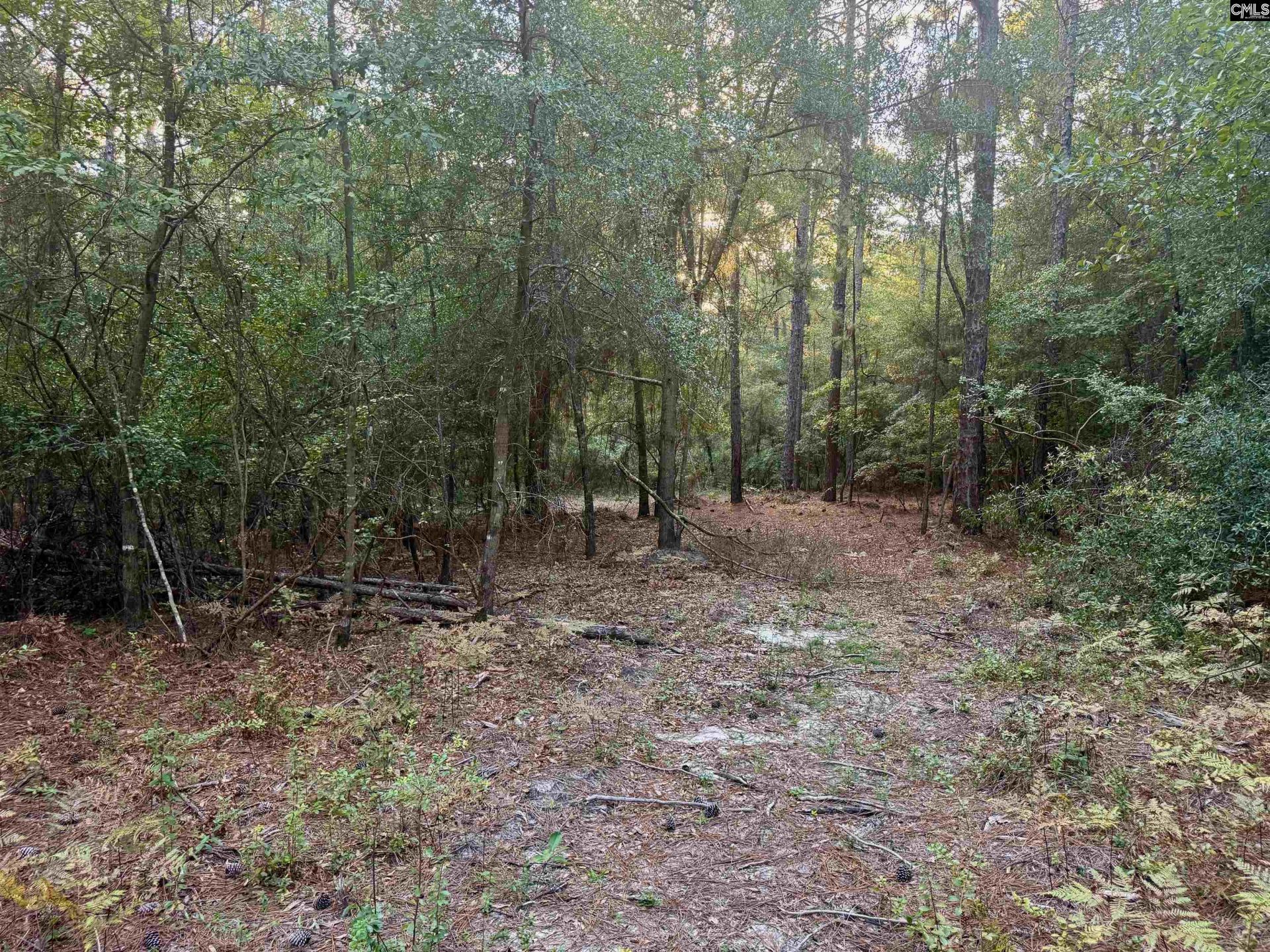 0 Edisto Lake Road  Photo 11