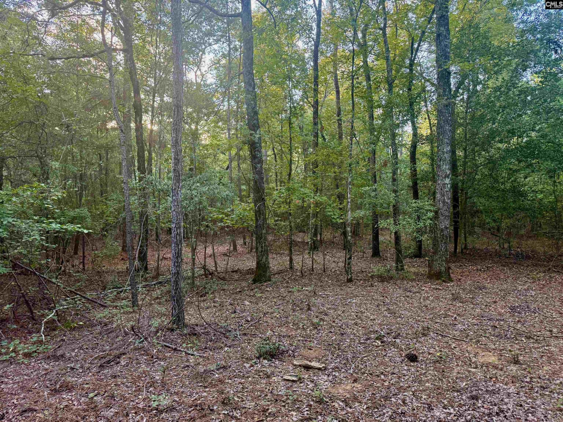 0 Edisto Lake Road  Photo 12