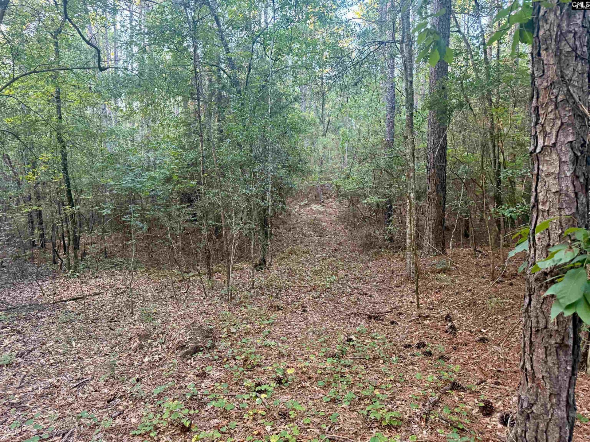 0 Edisto Lake Road  Photo 13