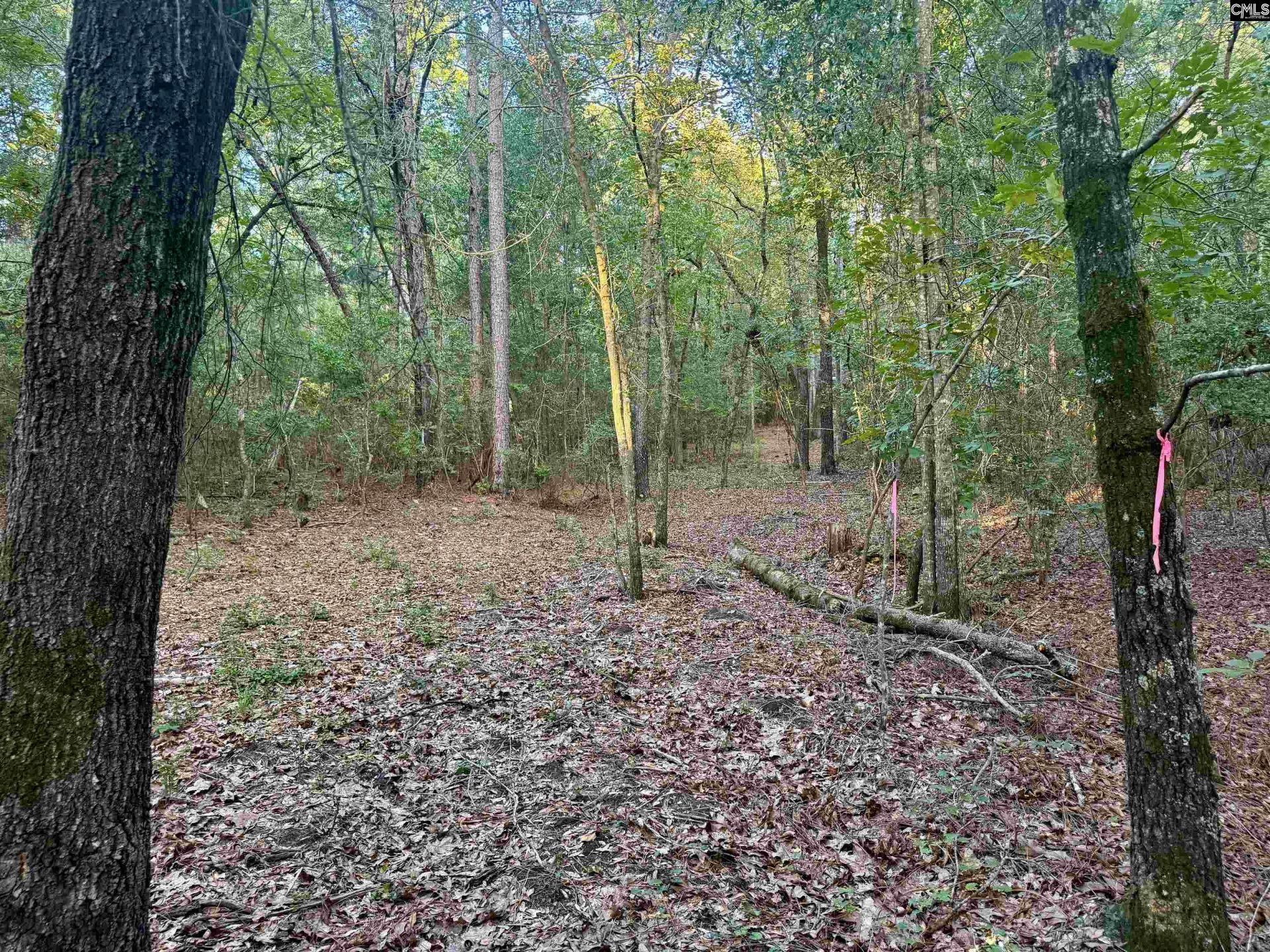 0 Edisto Lake Road  Photo 14
