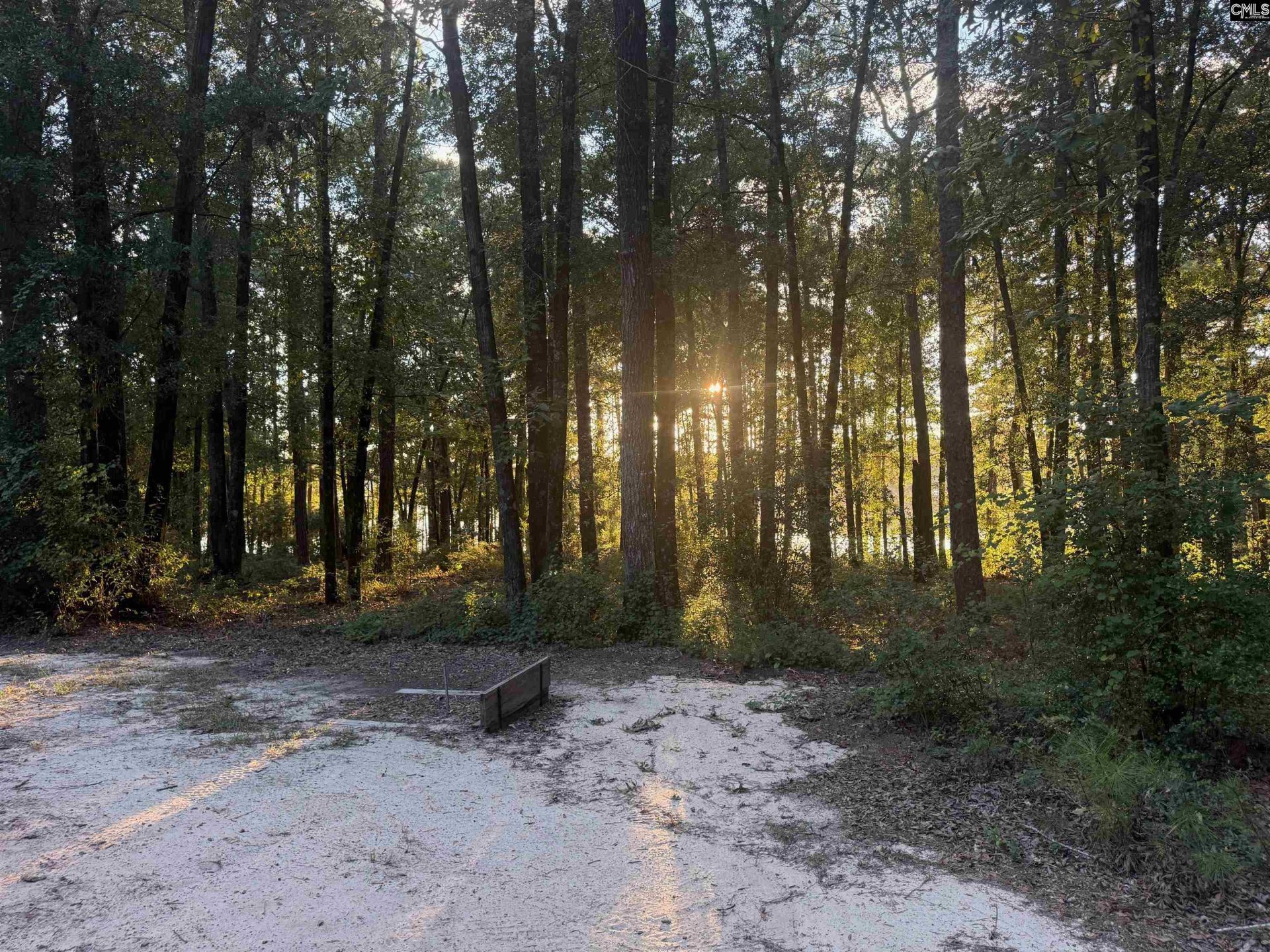 0 Edisto Lake Road  Photo 16