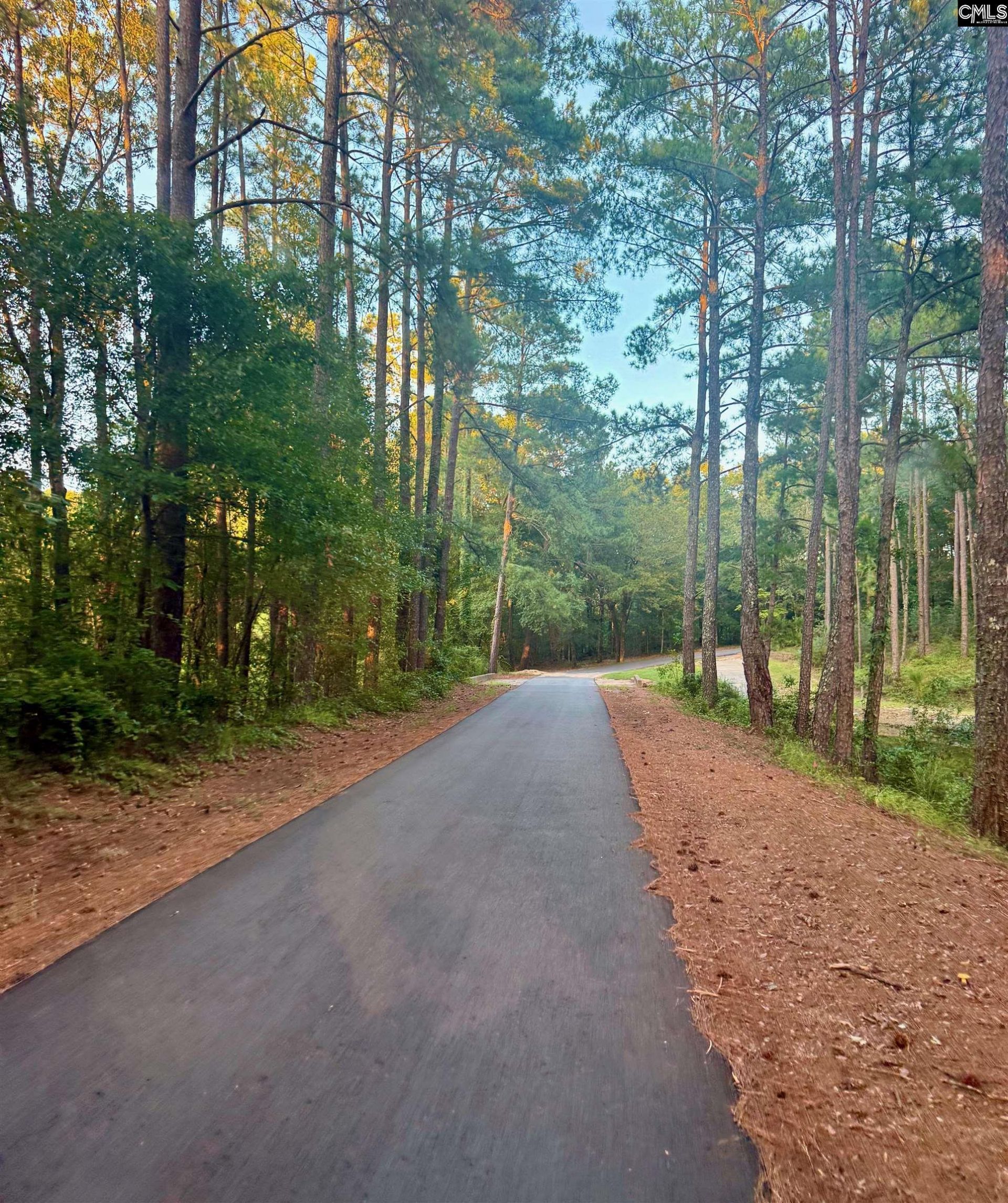 0 Edisto Lake Road  Photo 24