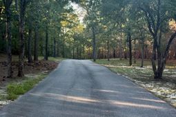 0 Edisto Lake Road  photo 4