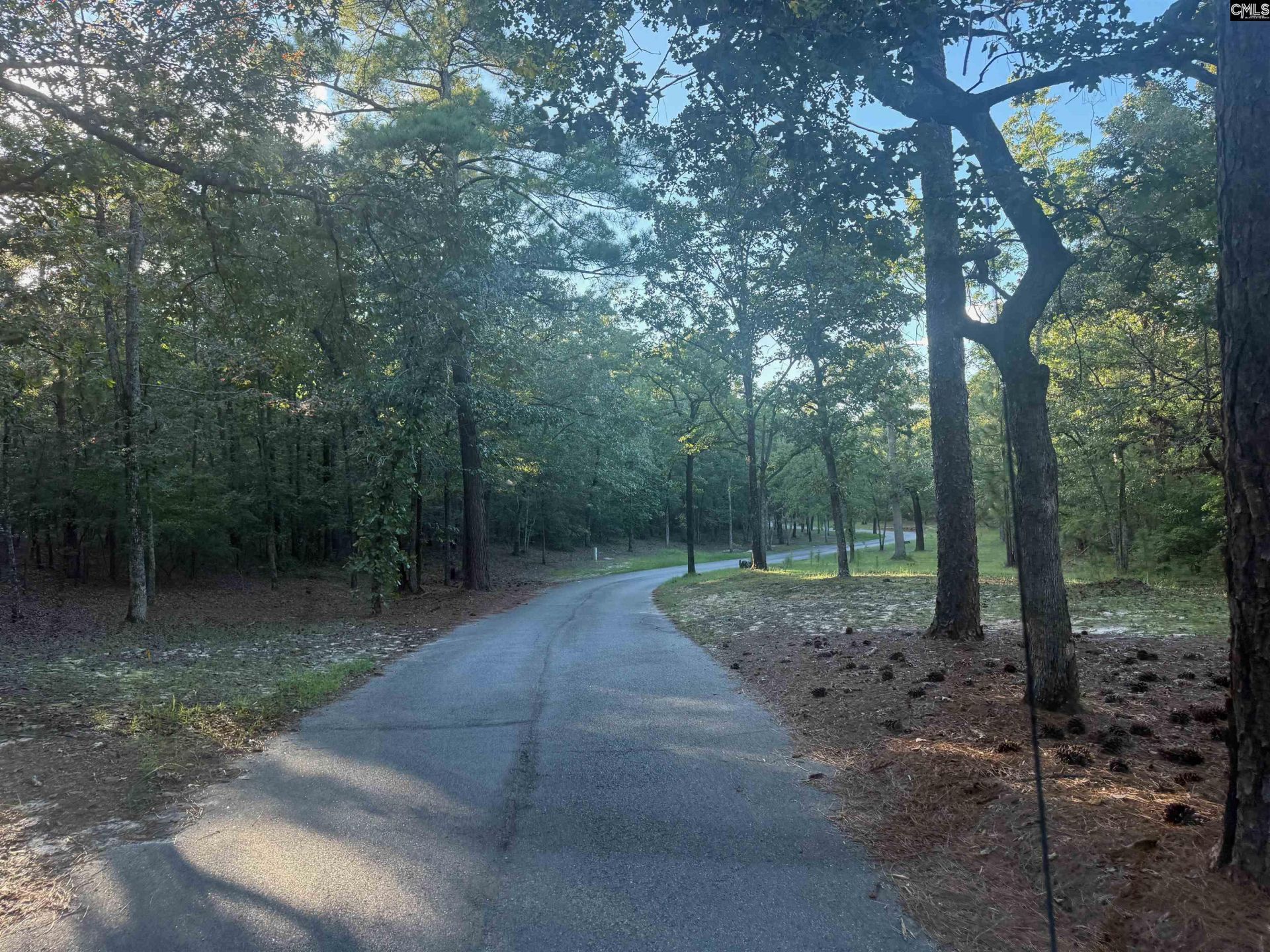 0 Edisto Lake Road  Photo 4