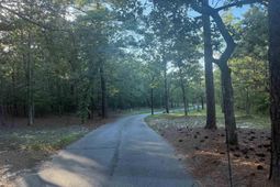 0 Edisto Lake Road  photo 4