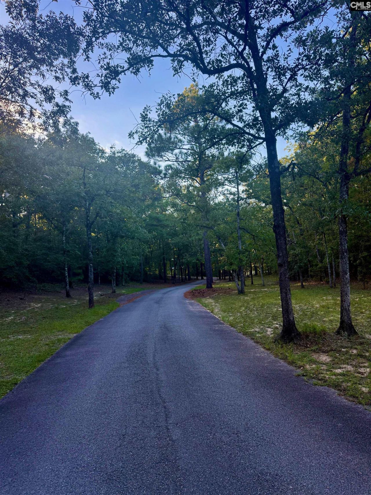 0 Edisto Lake Road  Photo 5