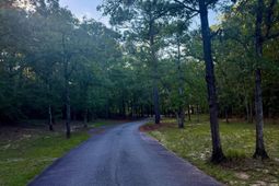 0 Edisto Lake Road  photo 4