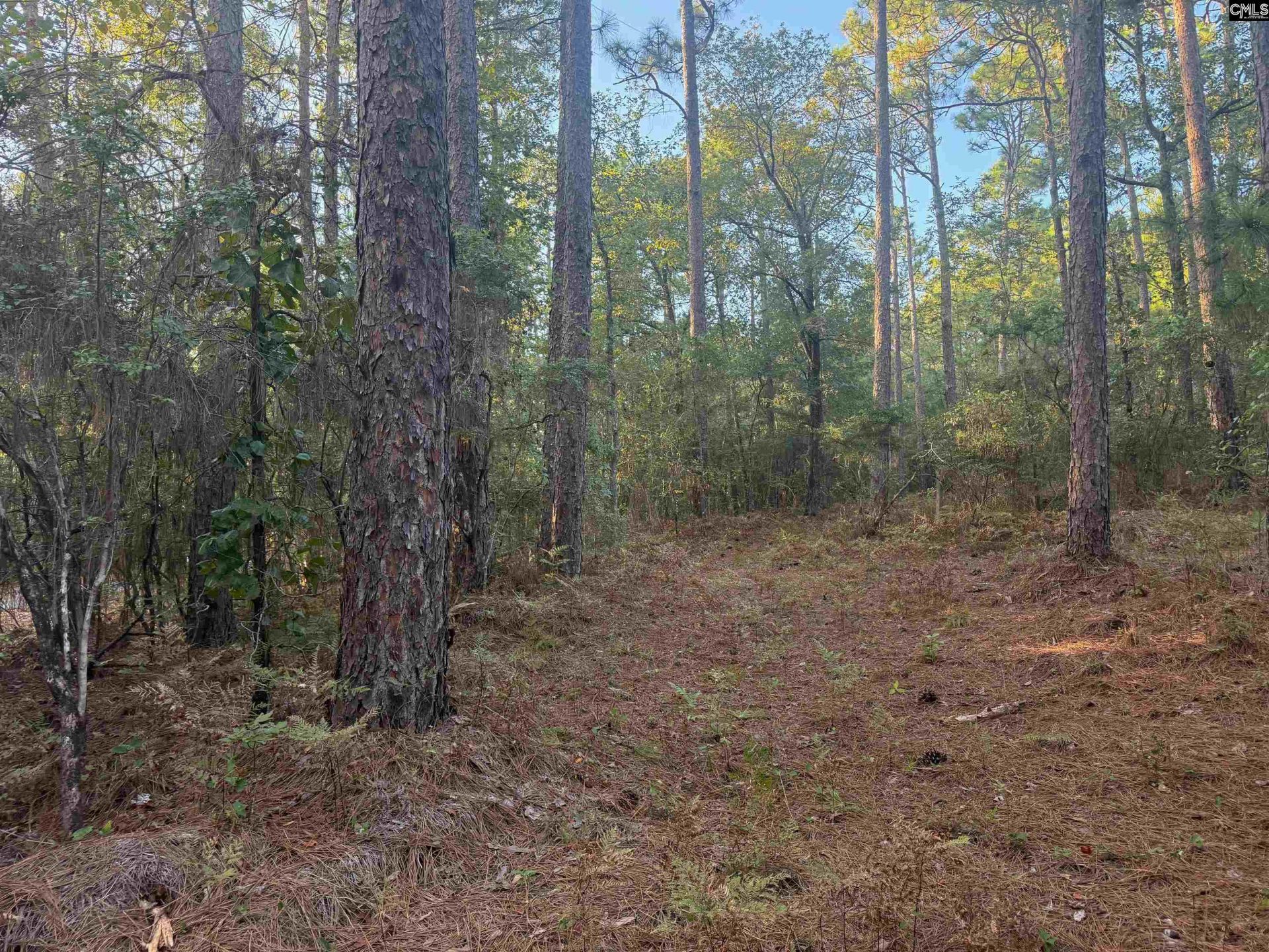0 Edisto Lake Road  Photo 7
