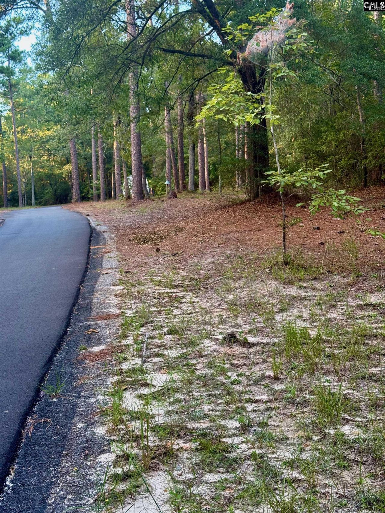 0 Edisto Lake Road  Photo 8