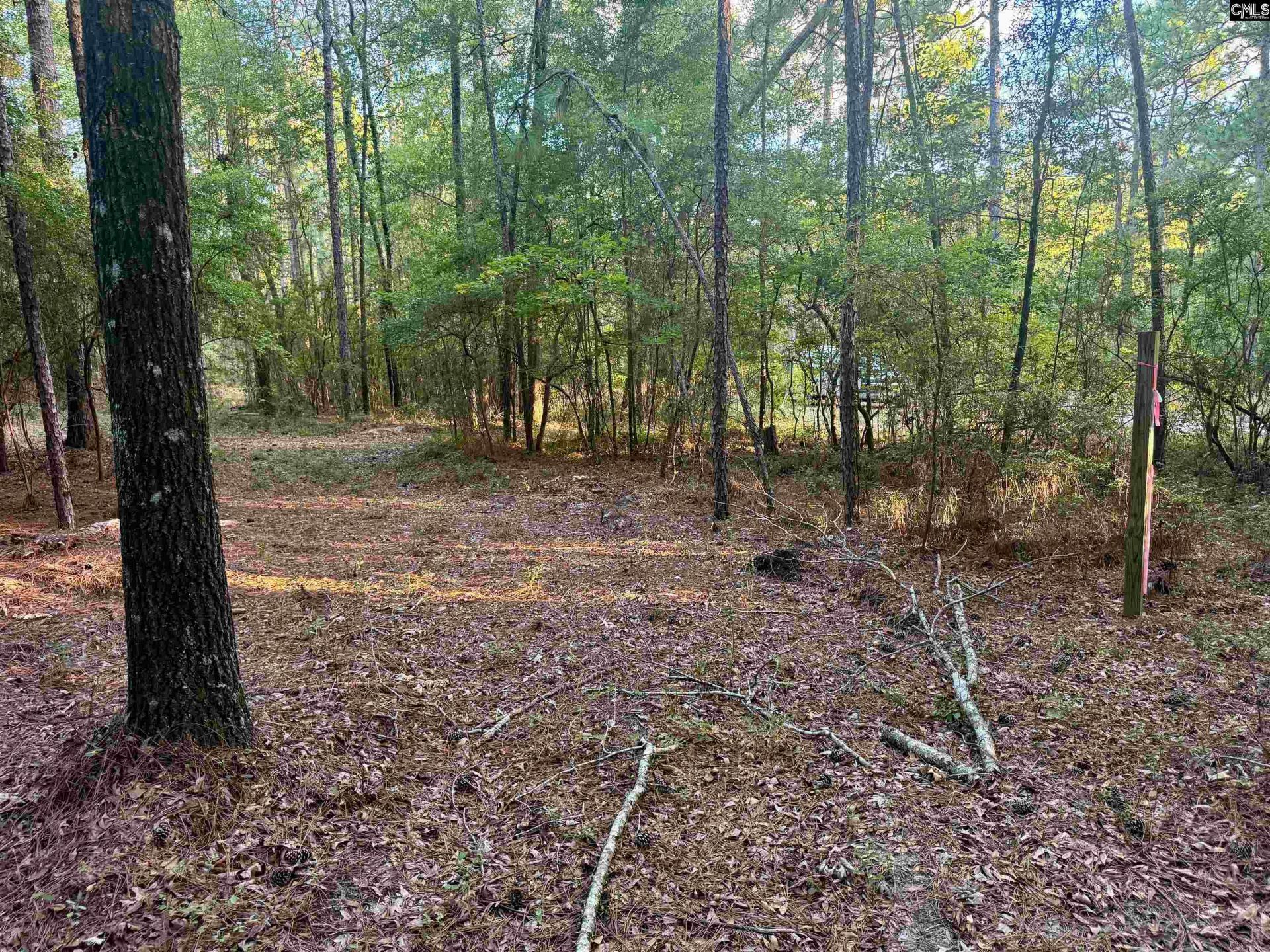 0 Edisto Lake Road  Photo 9