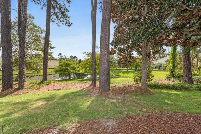 23 Shadow Moss Pl.  Photo 33