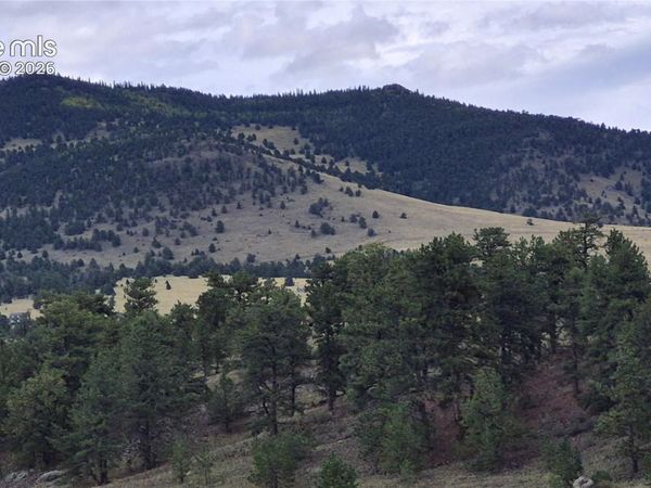 504 County Road 59 , Guffey, CO 80820