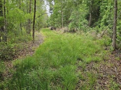 1300 Misty Ridge Lane, Walterboro, SC 29488