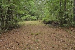 1300 Misty Ridge Lane photo 4