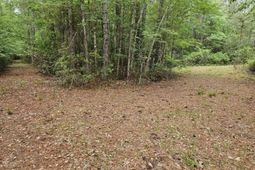 1300 Misty Ridge Lane photo 4