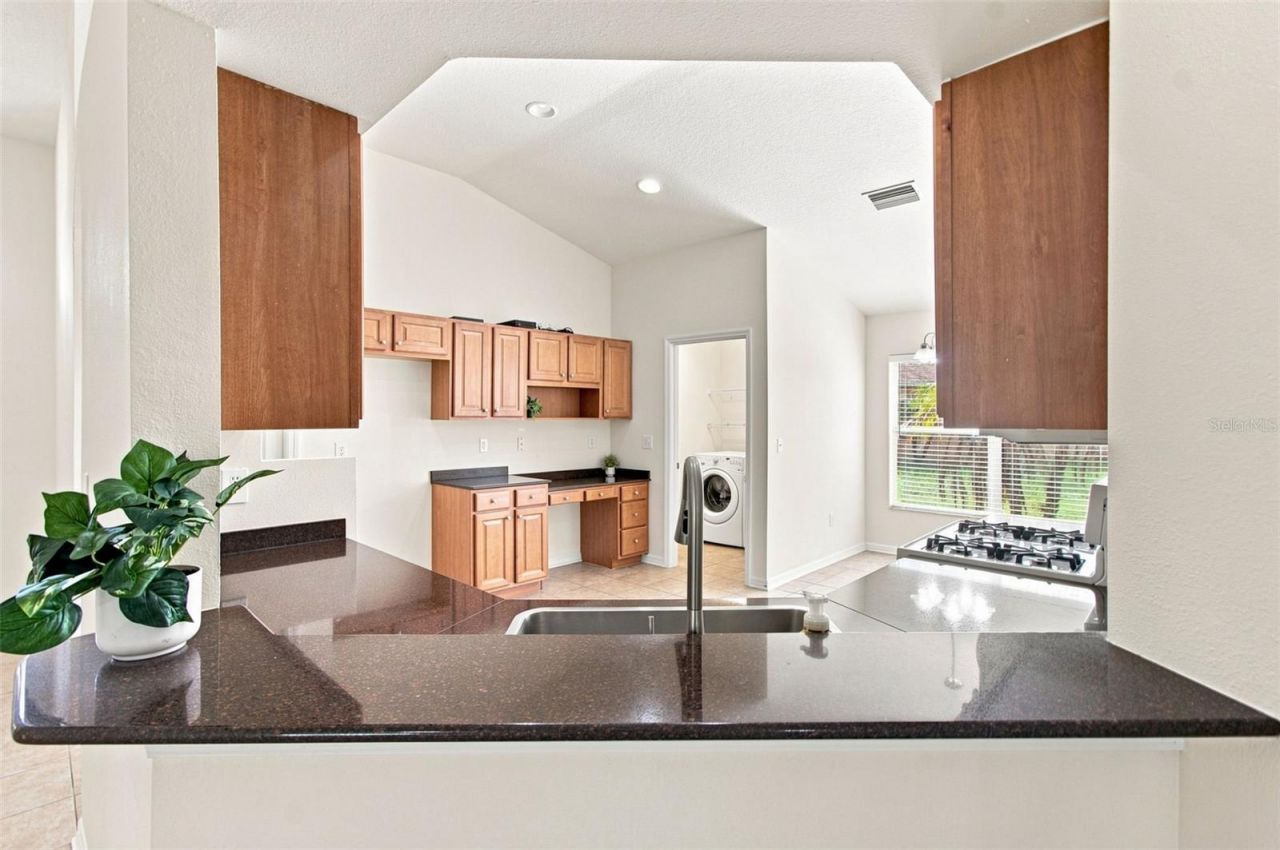 24132 Denali Court, Lutz, FL 33559 Photo