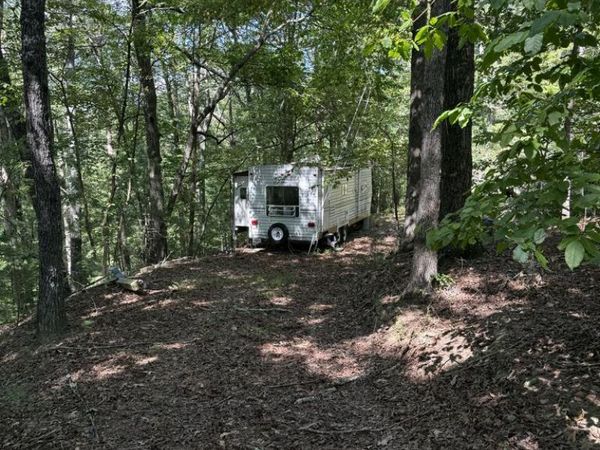 TR 13 Southern Pines Drive, Ellijay, GA 30540