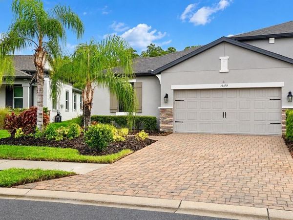 19379 HAWK VALLEY DRIVE, TAMPA, FL 33647