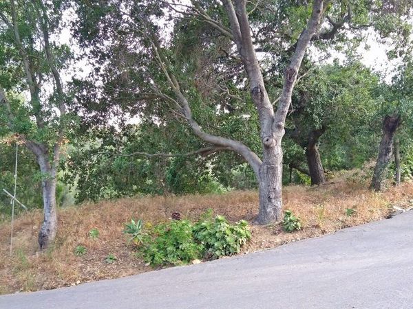 0 SUMMIT Road, Topanga, CA 90290