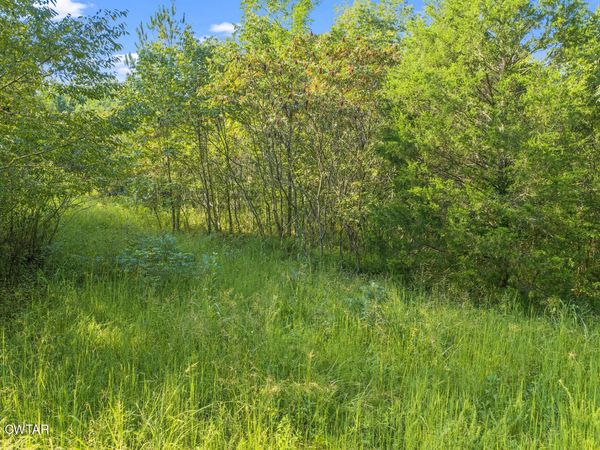 0 Horny Head Creek Road , Parsons, TN 38363