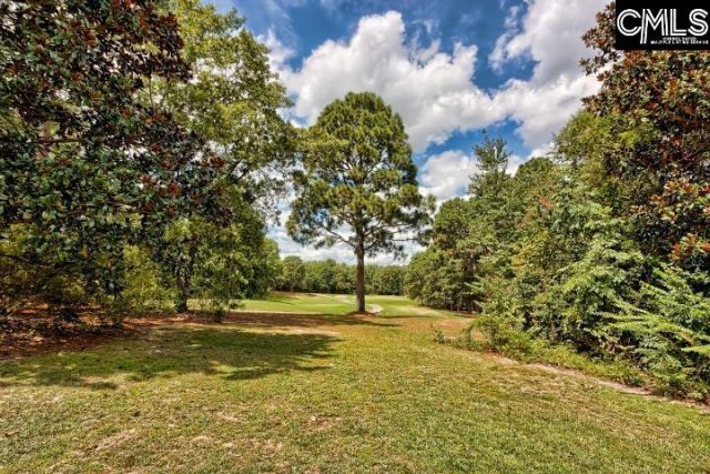 209 Valhalla Drive  Photo 53
