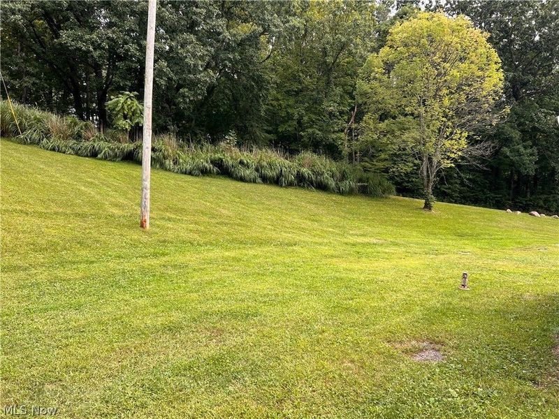 45948 Riffle Road, New Waterford, OH 44445 Photo 4