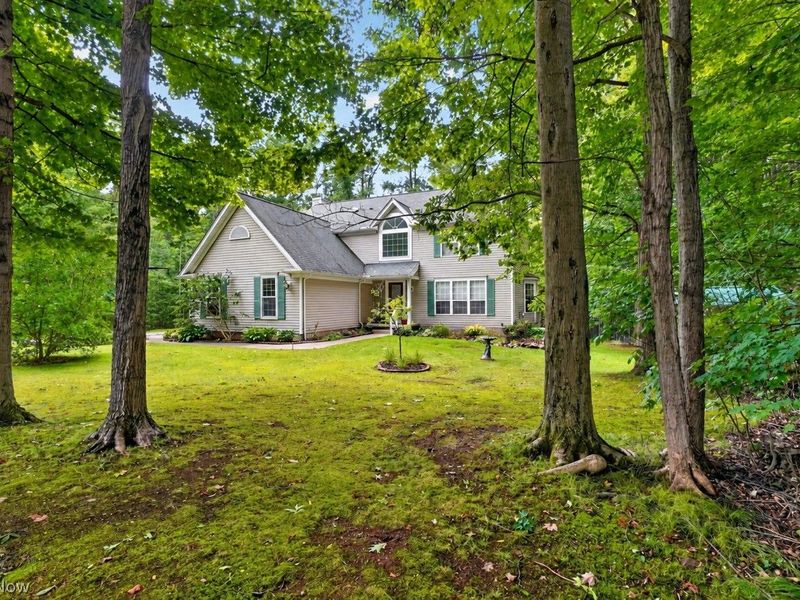 10835 Scranton Woods Trail, Newbury, OH 44065 Photo 3
