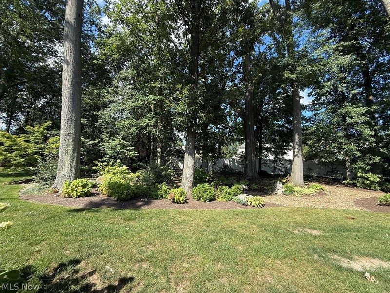 1037 Woodland Chase, Grafton, OH 44044 Photo 50